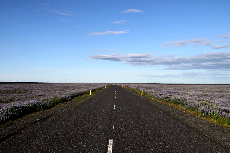 La route numéro 1 ceinture l'Islande Route numéro 1 - Islande