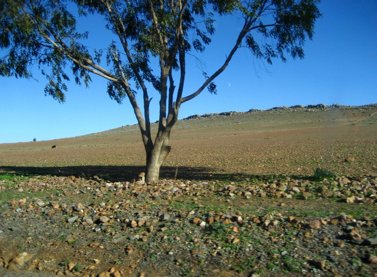 A l'arrière-pays de Rabat, Maroc © reiki-formation Arrière-pays de Rabat, Maroc - reiki-formation