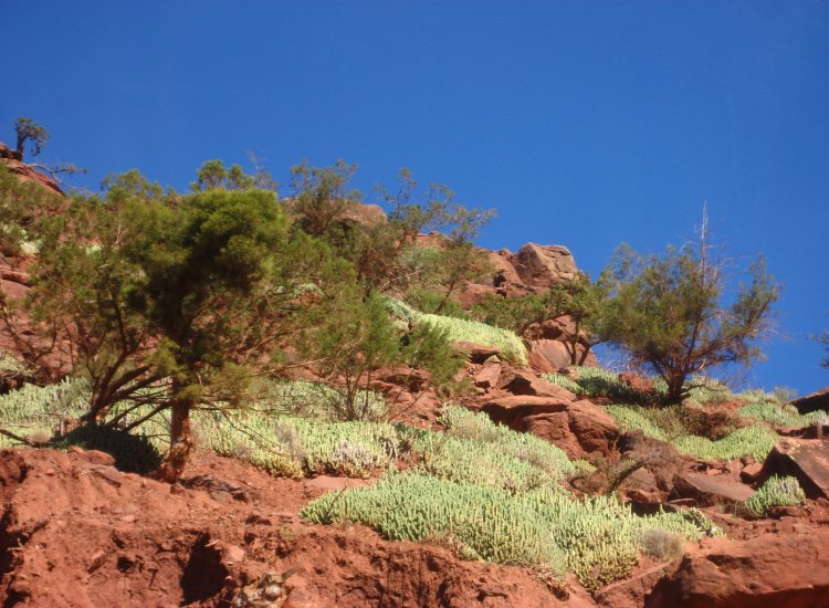 Paysages arides de la région de Bin el Ouidane, Haut-Atlas, Maroc © reiki-formation Bin el Ouidane, Maroc - reiki-formation