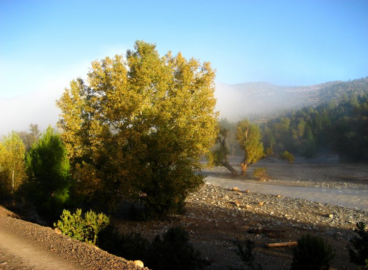 Brume automnale dans le Haut-Atlas marocain © reiki-formation Brume automnale Haut-Atlas - reiki-formation