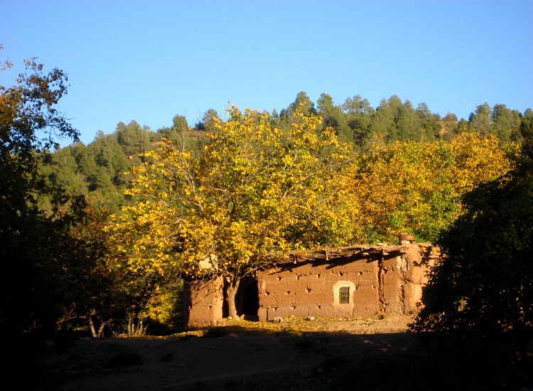 Habitation du Haut-Atlas dans la région de Tamga © reiki-formation Habitation Haut-Atlas Maroc - reiki-formation