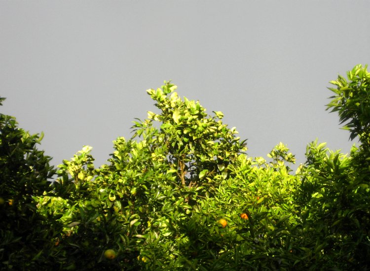 Soleil après l'orage - Le Chellah à Rabat © reiki-formation Chellah, Rabat, Maroc - reiki-formation