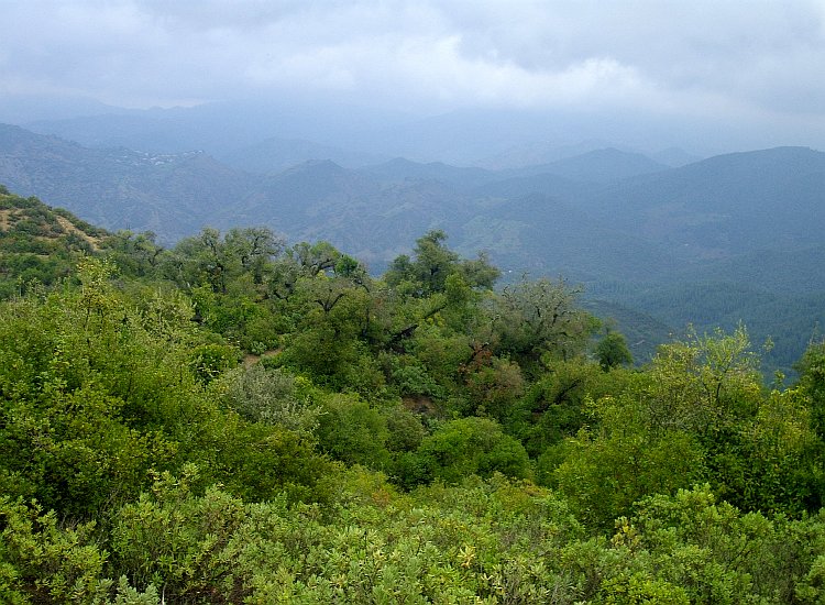 Séjour dans le Rif au Maroc Rif, Maroc