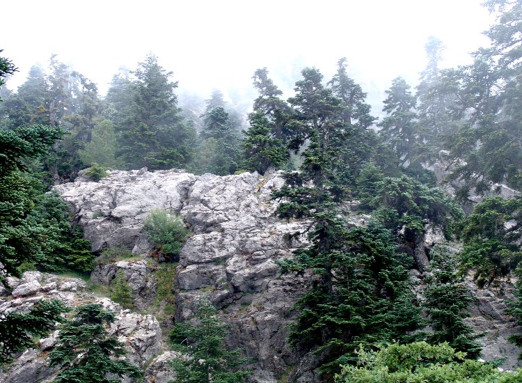 Blancheur grise de la Dorsale calcaire des montagnes du Rif Dorsale calcaire des montagnes du Rif - Maroc