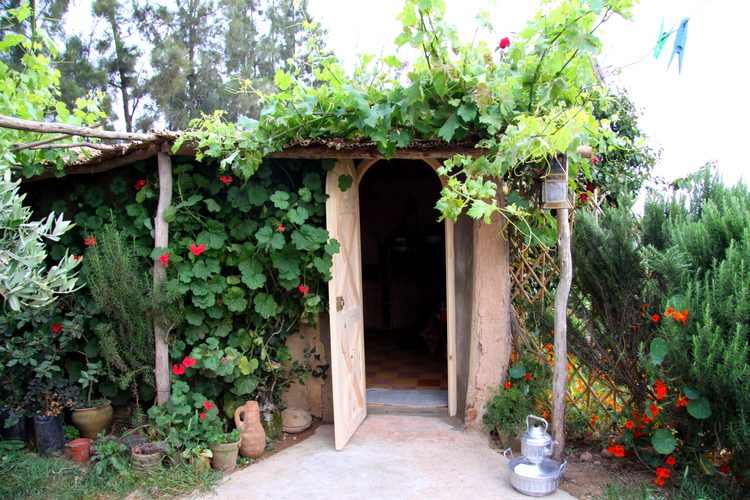Shoul - Maroc