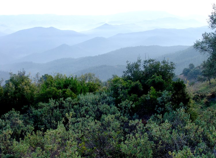 Silence immobile de l'observateur et de la nature - Rif - Maroc Silence immobile dans le Rif