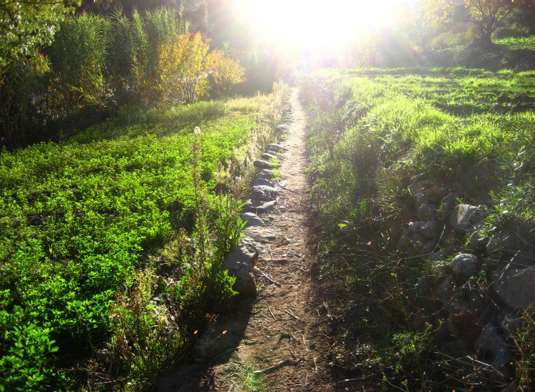 Sentier lumineux dans le Haut-Atlas, Maroc © reiki-formation Sentier lumineux Tamga - reiki-formation