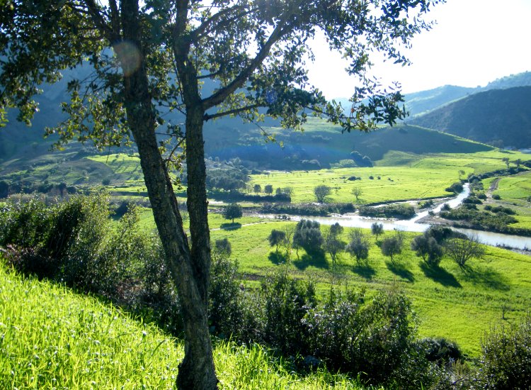 Tiamma - Maroc Tiamma - Maroc