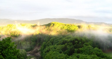 Paysage