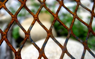 Prison ou vie