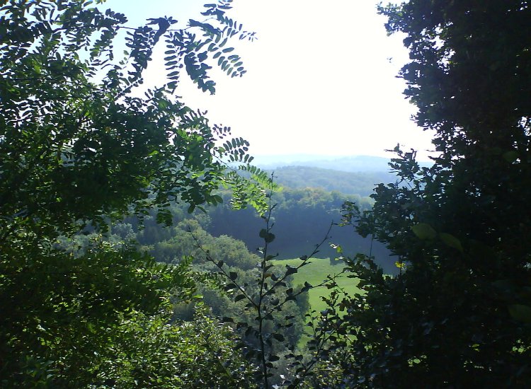Reiki - Vue depuis lieu de stage Fribourg - Zone ombragée entre les arbres Reiki-Fribourg - Zone ombragée direction Arconciel