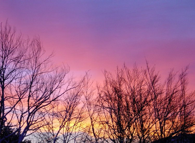 Reiki - Vue depuis lieu de stage Fribourg - Dégradé de couleurs dans un ciel hivernal Reiki-Fribourg - Ciel coloré en fin de journée hivernale