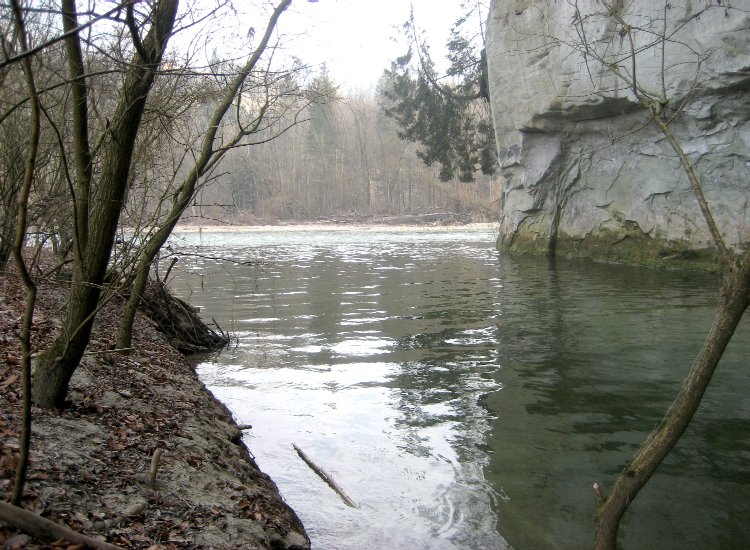 A quelques centaines de mètres à l'ouest du lieu de stage, au confluent de la Sarine et de la Glâne - février 2008 Reiki - Au confluent de la Sarine et de la Glâne