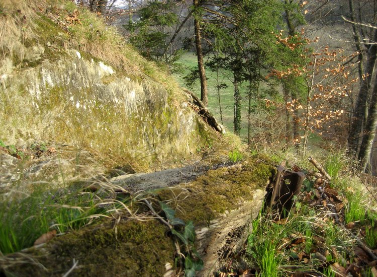 En contrebas du lieu de stage, le sentier des pêcheurs taillé dans la roche est l'accès le plus direct à la Sarine Reiki - Le sentier des pêcheurs menant à la Sarine