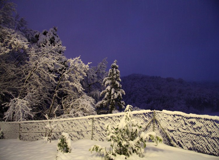 Reiki-Fribourg - La neige tombe sans interruption