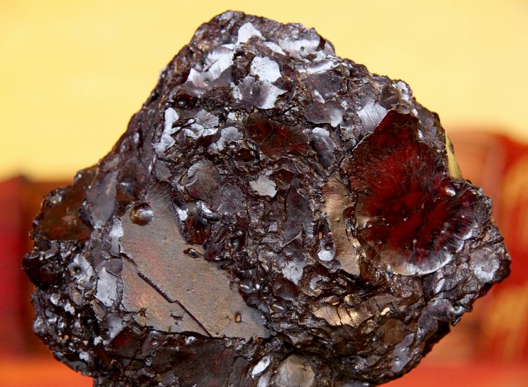 Xyloïte - Bois d'auracaria fossilisé - Curitiba, Parana, Brésil Xyloïte - Bois d'auracaria fossilisé
