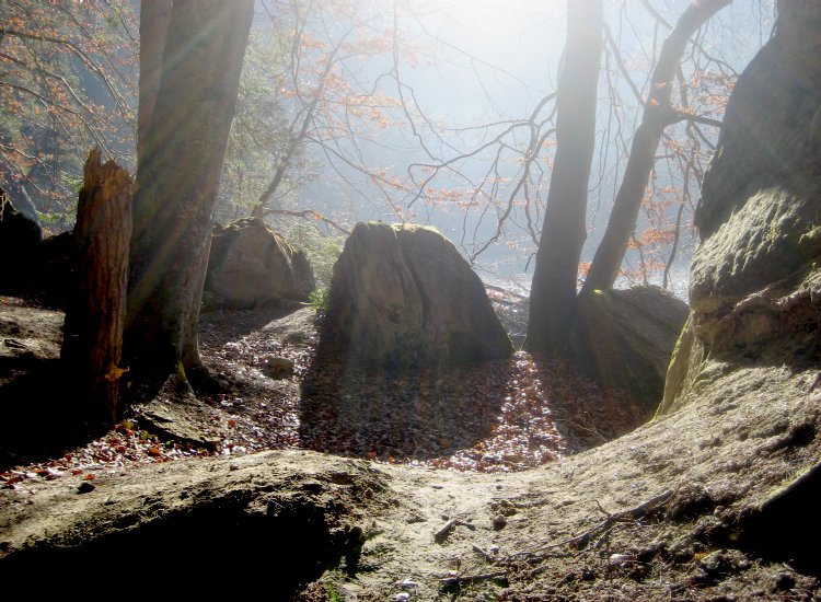 De gros blocs de molasse tombés de la falaise et plantés dans le sol Reiki - Paysage insolite au bord de la Sarine à Hauterive