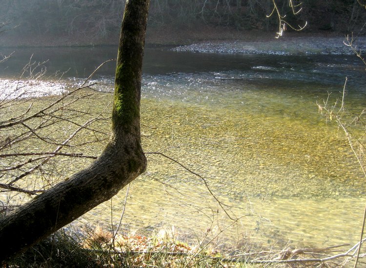 Les eaux claires de la Sarine frétillent au soleil levant Reiki - Les eaux frétillantes de la Sarine à Hauterive