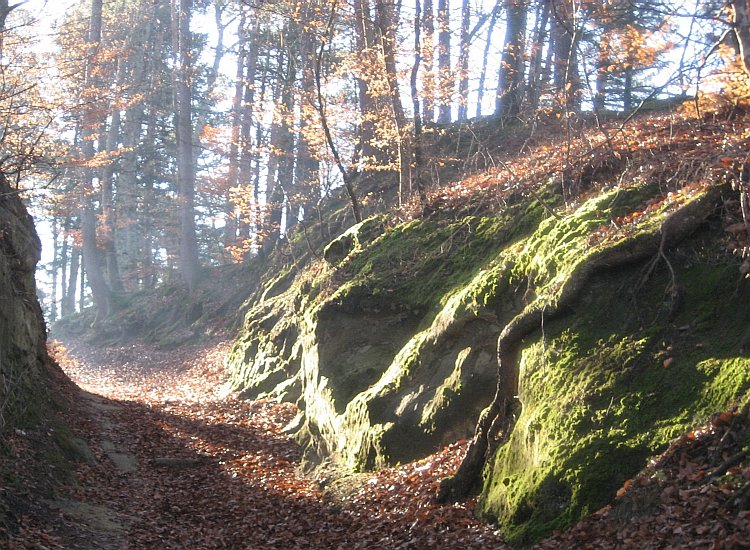 Sentier pédestre taillé dans la roche Reiki - Sentier pédestre taillé dans la roche à Hauterive