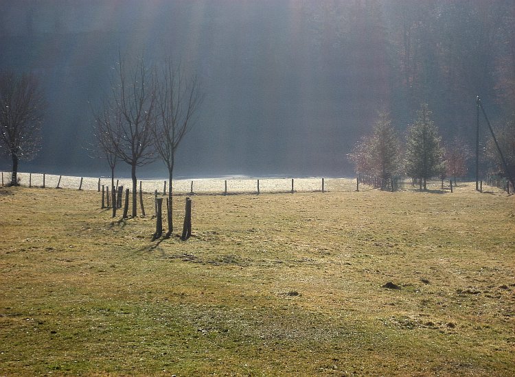 Le sol dégèle au fur et à mesure que le soleil se lève Reiki - Pré gelé à Hauterive, proche de la Sarine