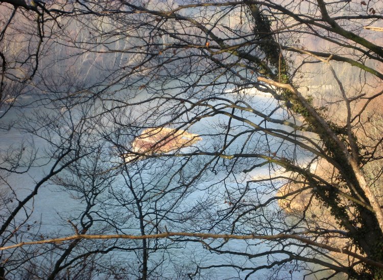 Les eaux de la Sarine entourent de petit îlots de terre abritant une faune variée Reiki - Petits îlots sur la Sarine