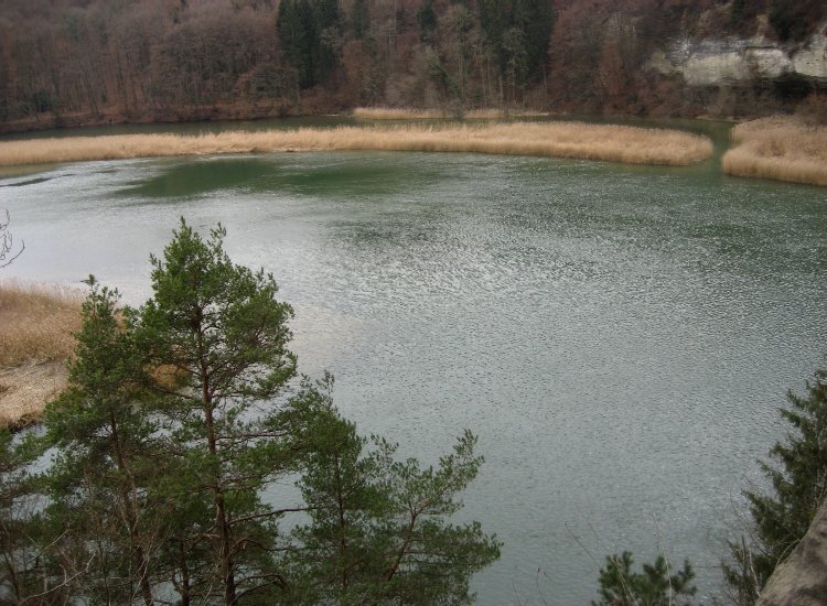 Reiki - Lac de Pérolles proche du barrage de la Maigrauge