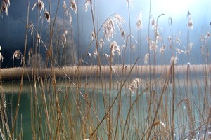 Sarine - Lac de P�rolles