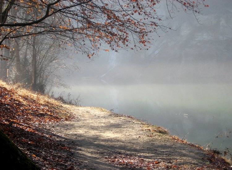 Sentier longeant le lac de Pérolles encore couvert d'une légère brume hivernale Reiki - Sentier longeant le lac de Pérolles