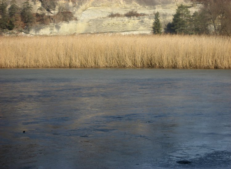 Une partie du lac de Pérolles recouverte par la glace Reiki - Le lac de Pérolles recouvert de glace