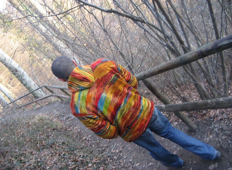 Reiki - André Baechler - Balade en forêt - janvier André Baechler, enseignant Reiki en promenade à Fribourg
