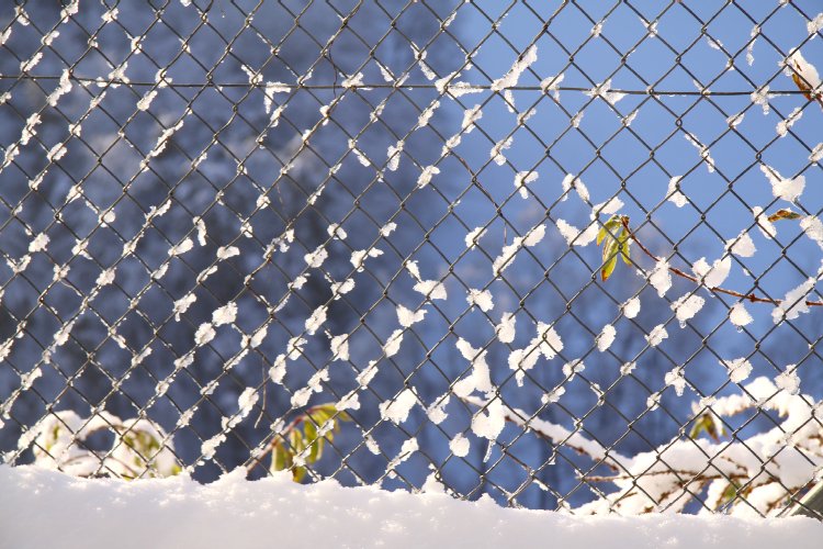 Reiki - En 2009, tout est neuf - La neige au premier matin de l'an 9 Reiki-Fribourg - Réveil ennneigé au premier matin 2009